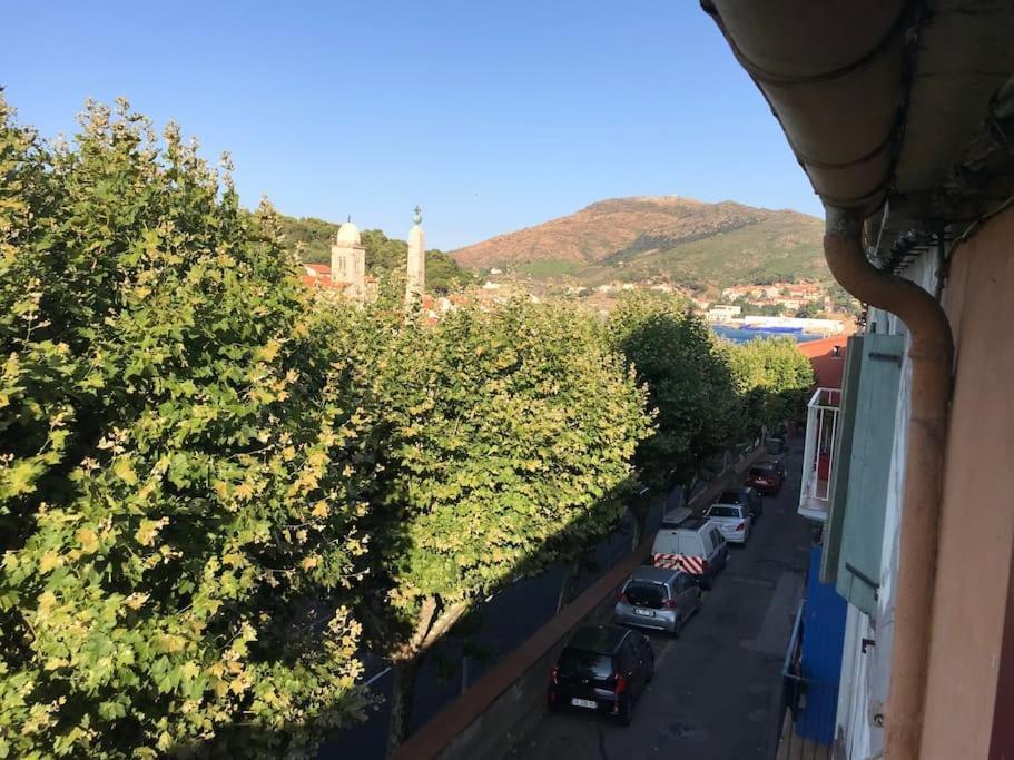 Apartament Studio Bon Dia/Balcon/Proche Criques Et Collioure Port Vendres Zewnętrze zdjęcie